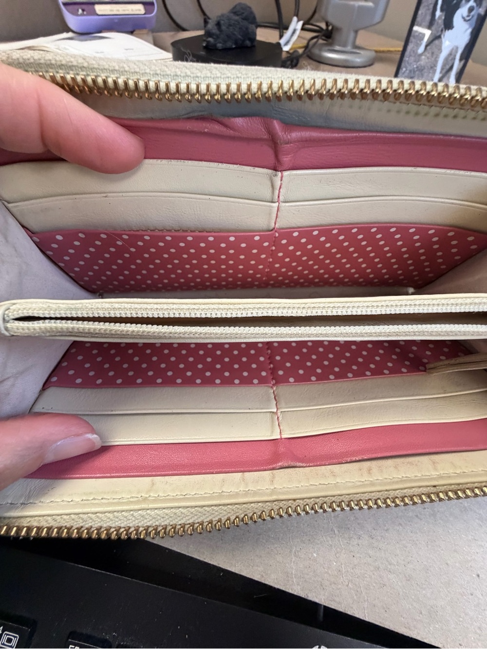 Radley London Dog Appliqué Zip Wallet in Cream & Pink - Picture 3 of 7